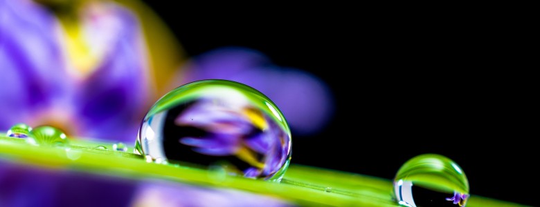 IMG_0033.jpg