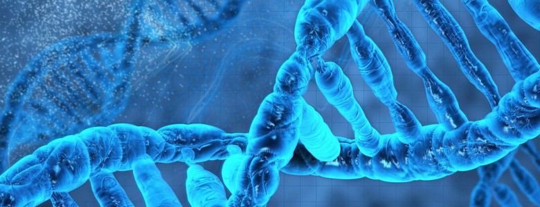 dna.jpg