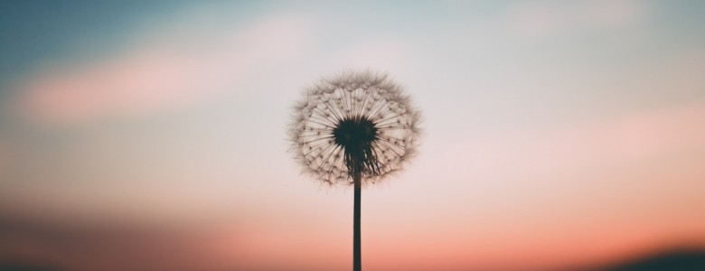 knowing-1.jpg