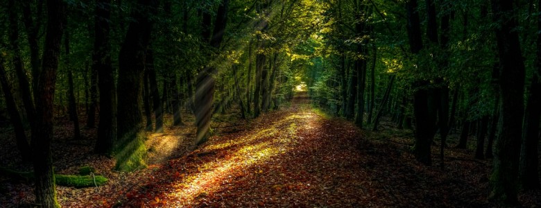 light-3.jpg