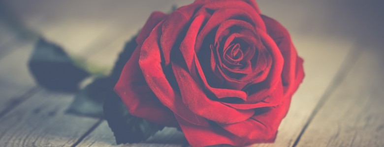 love7.jpg