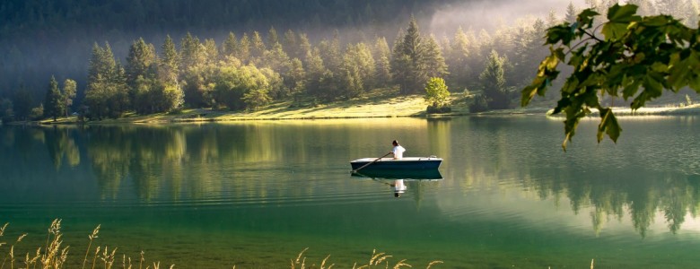 nature.jpg
