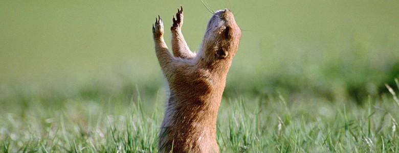 worship.jpg